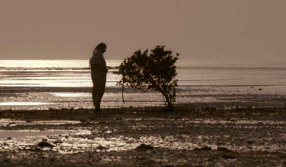 Qatari Film